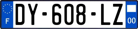 DY-608-LZ