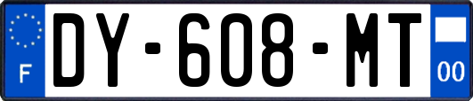 DY-608-MT