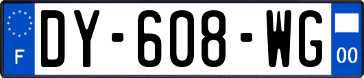 DY-608-WG