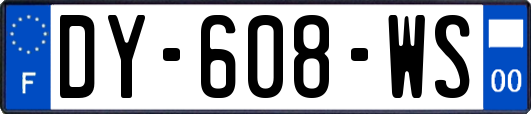 DY-608-WS