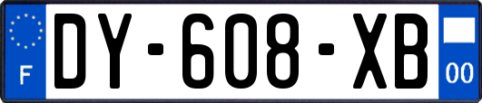 DY-608-XB