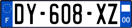 DY-608-XZ