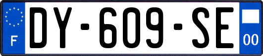 DY-609-SE