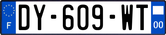 DY-609-WT