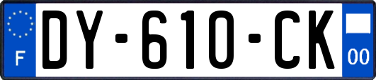 DY-610-CK