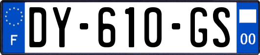 DY-610-GS