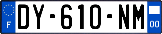 DY-610-NM