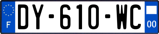 DY-610-WC