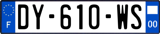 DY-610-WS