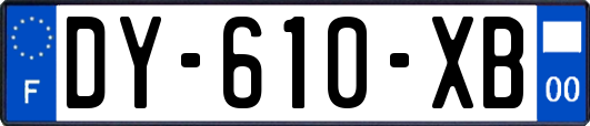 DY-610-XB