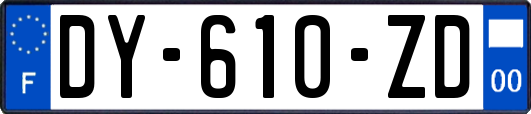 DY-610-ZD