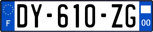 DY-610-ZG