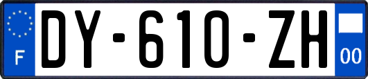 DY-610-ZH