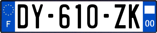 DY-610-ZK