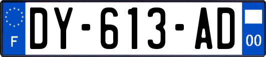 DY-613-AD