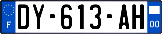 DY-613-AH