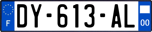 DY-613-AL