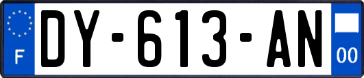 DY-613-AN