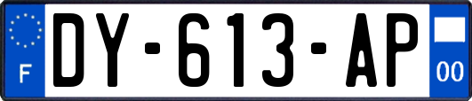 DY-613-AP