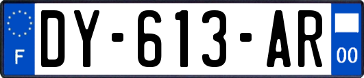 DY-613-AR