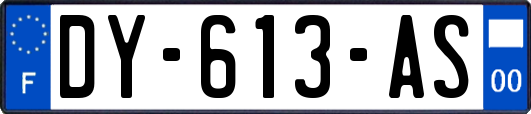 DY-613-AS