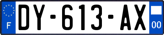 DY-613-AX
