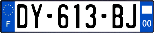 DY-613-BJ