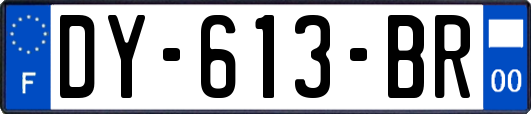 DY-613-BR