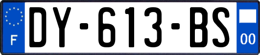 DY-613-BS