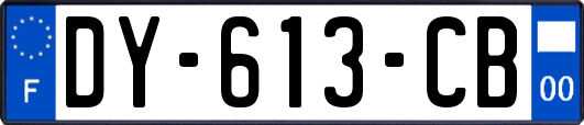 DY-613-CB