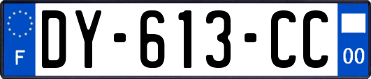 DY-613-CC