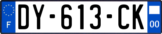 DY-613-CK