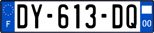 DY-613-DQ