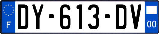 DY-613-DV