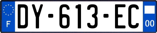 DY-613-EC
