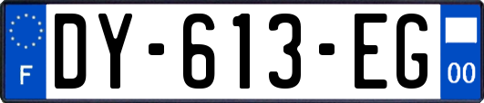 DY-613-EG