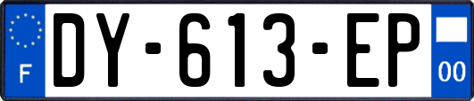 DY-613-EP