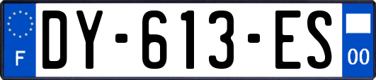 DY-613-ES