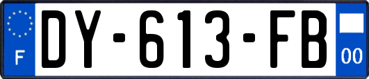 DY-613-FB