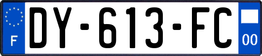 DY-613-FC