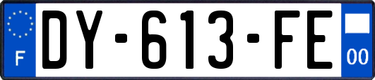 DY-613-FE