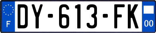 DY-613-FK