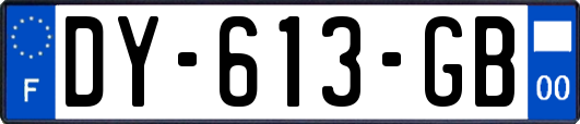 DY-613-GB