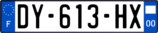 DY-613-HX