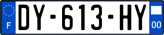 DY-613-HY