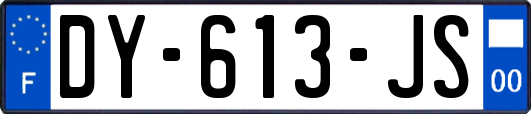 DY-613-JS