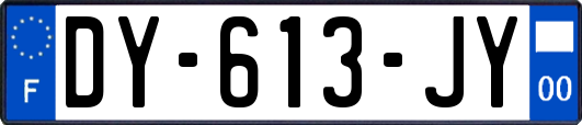 DY-613-JY