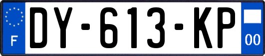 DY-613-KP