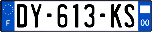 DY-613-KS