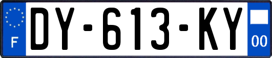 DY-613-KY